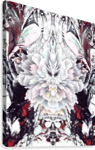gj025 Canvas Print