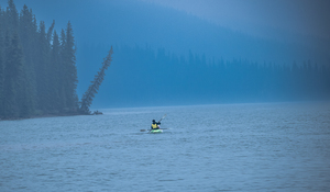 Kayak
