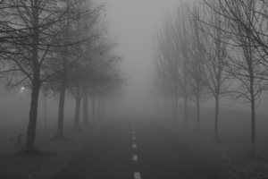 Morning Fog