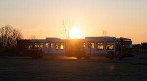 Sunrise Bus