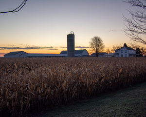 Sunrise Over the Farm