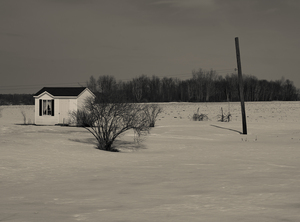 Winter Scene