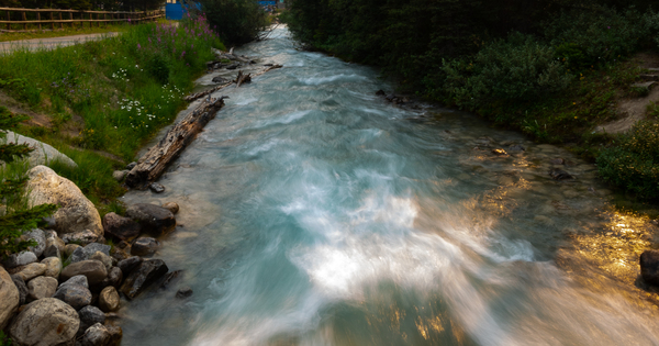 Rapid Stream Print