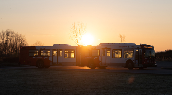 Sunrise Bus Print