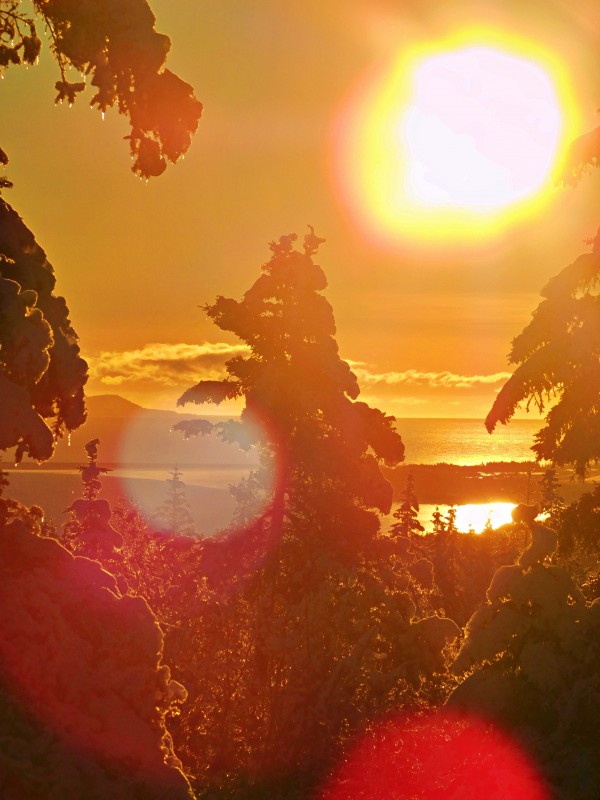 Late Winter Sun by 151 West