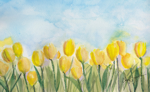 Yellow Tulip Field