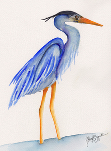 Blue Heron