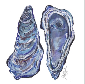 Blue Oysters 