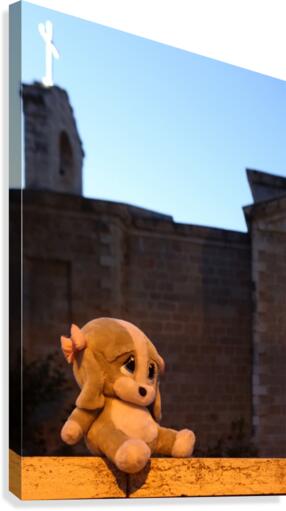 A Foundling Canvas Print