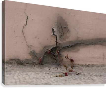 Crack Canvas Print