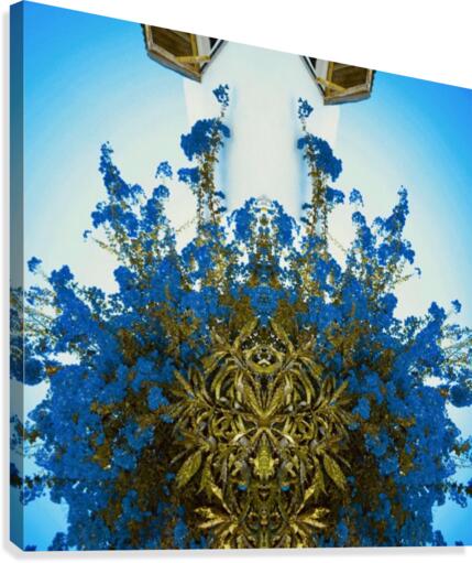 Moombassa Canvas Print