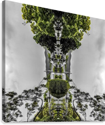 Paris - Trees  Canvas Print