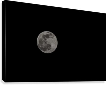Full moon Canvas Print
