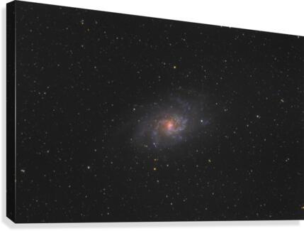 Triangulum Galaxy Canvas Print