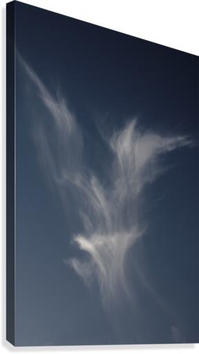 Perched Cloud Dragon Canvas Print