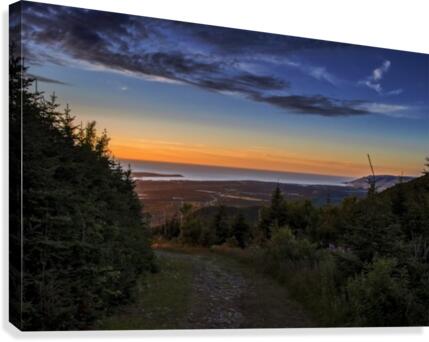 Slightly Beaten Path Canvas Print