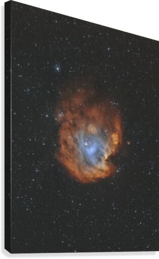 Monkey Head Nebula Canvas Print