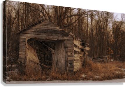 Forgotten Canvas Print