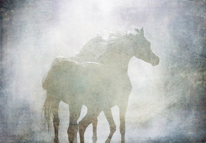 Ghost Horses