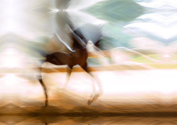 Sport Horse Swoosh Print