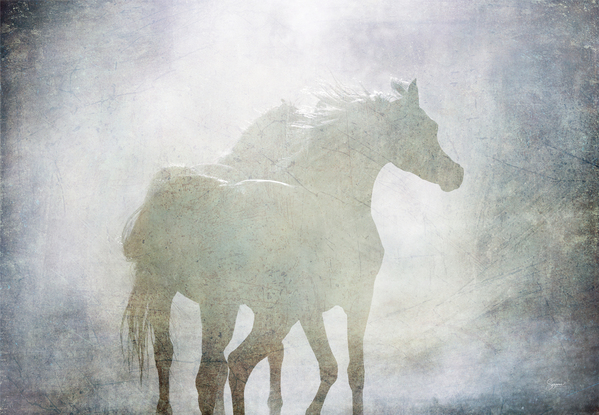 Ghost Horses Print