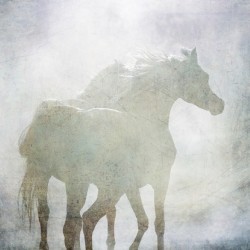 Ghost Horses