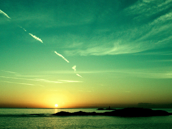 Matilde Dalkey Print