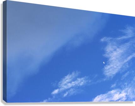 Impermanence Canvas Print
