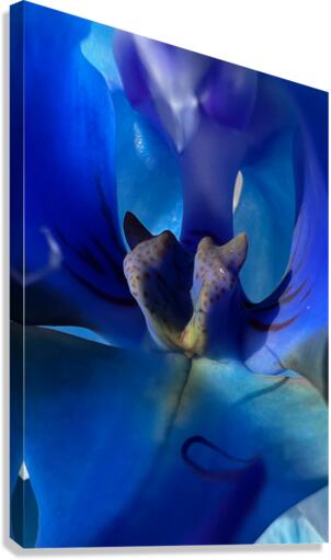 Deep Blue  Canvas Print