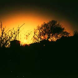 Over the Roof Sunset