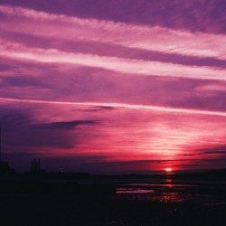 Purple Sunset