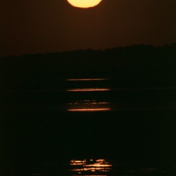 Going Down reflecting