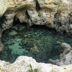Rock Pool