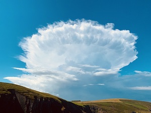IMG 4736