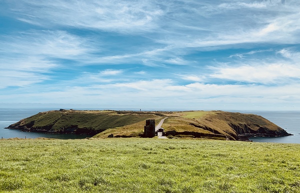 IMG 5951 by D McCarthy