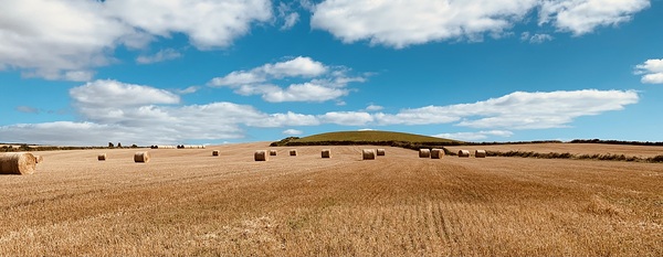 IMG 4934 by D McCarthy