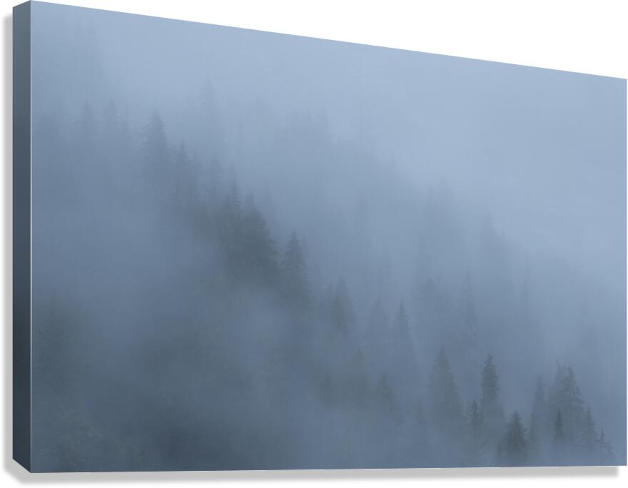 Mystical forest Canvas Print