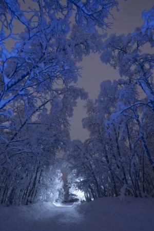 Blue passage