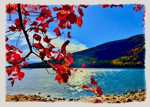 Acadia   Jordan Pond 4 by Tropical Freeze
