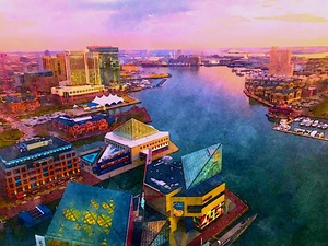 Baltimore 3 by Tropical Freeze