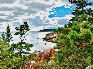 Acadia National Park 1 by Tropical Freeze