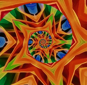 Bird of Paradise 1 by Tropical Freeze