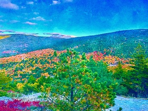 Acadia National Park 2 by Tropical Freeze