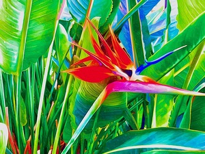 Bird of Paradise 2 by Tropical Freeze
