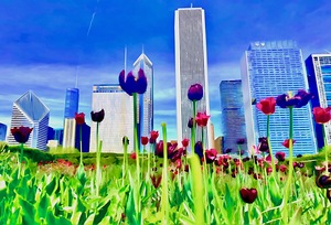 Chicago Flowers 2 by Tropical Freeze