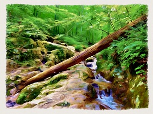 Cascade Falls by Tropical Freeze