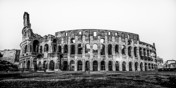 Coliseum by Missy Maher