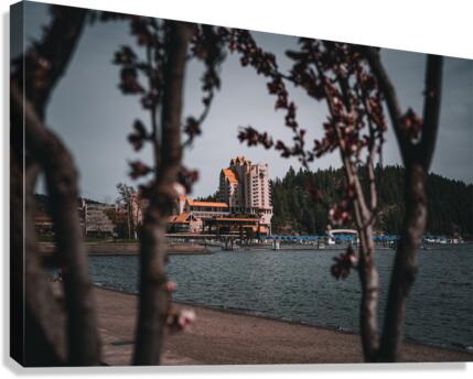 Resorting through the tress Canvas Print