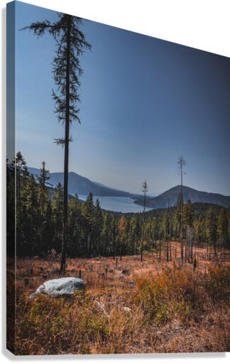 Clearcut views Canvas Print