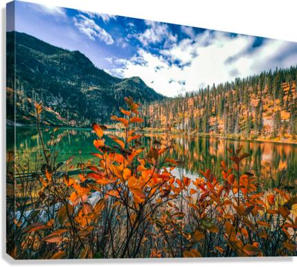 Fall Colors Canvas Print